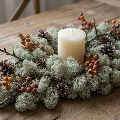Decorative moss, grey natural moss for crafting, dried and dyed, 500g | Floristik24.ie