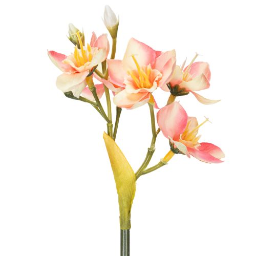 Product Decorative flowering branch Peruvian lily for timeless arrangements, 33cm, 6 pieces