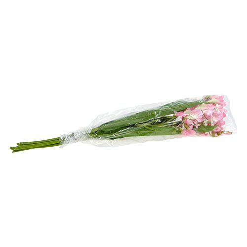 Floristik24 Freesia 56cm pink 4pcs