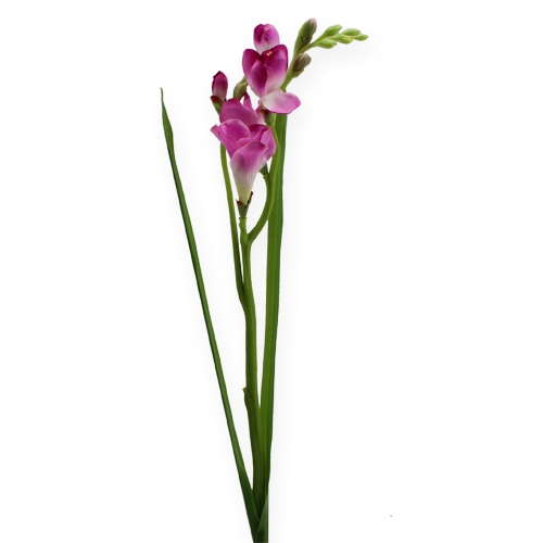 Floristik24 Artificial flower Fresien 56cm 3pcs.