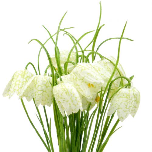 Floristik24 Chessboard flowers Fritillaria artificial white, green 40cm 12pcs