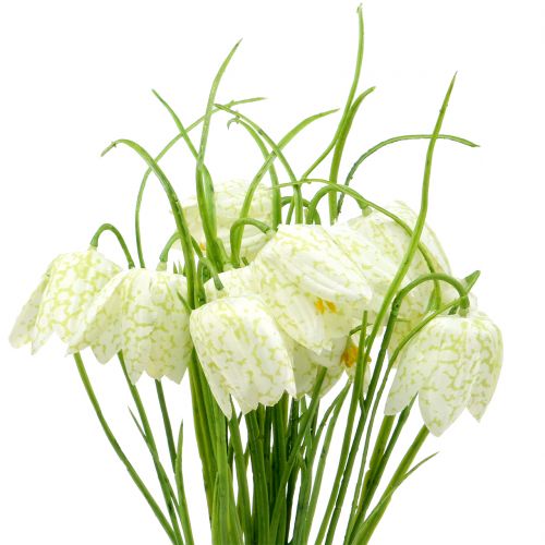 Floristik24 Checkered lilies Fritillaria artificial white, green 40cm 12 pcs