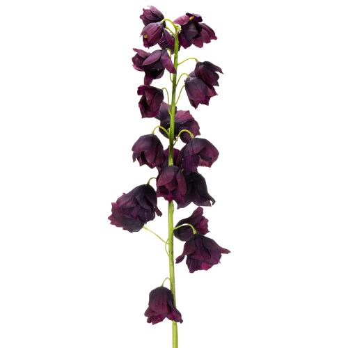Floristik24 Fritilaria lifelike replica for elegant arrangements and bouquets 78cm
