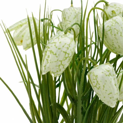 Floristik24 Fritillaria in a pot, checkerboard flower green and white, artificial flower