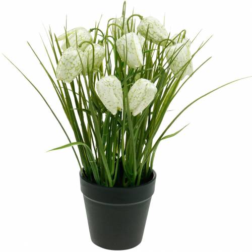 Fritillaria in a pot, checkerboard flower green and white, artificial flower