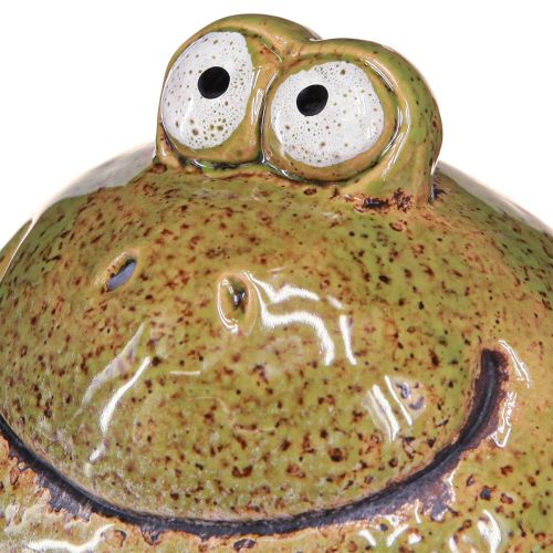 Floristik24 Frog Decoration Green Brown Ceramic Frog Head H10.5cm 2 Pcs