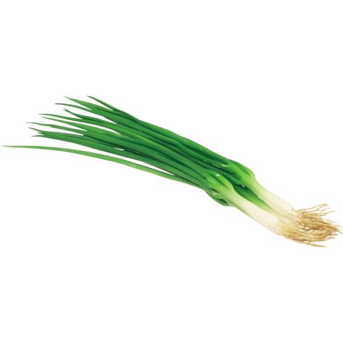 Floristik24 Spring onions artificial Real-Touch 30cm 4pcs