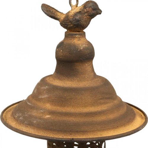 Floristik24 Bird feeding station to hang in rust look Ø20cm H36cm