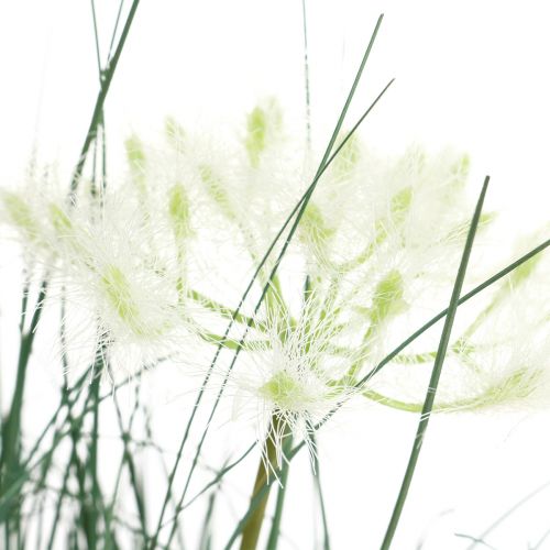 Floristik24 Bulrush Grass Artificial Flower Artificial flowers in a pot 56cm