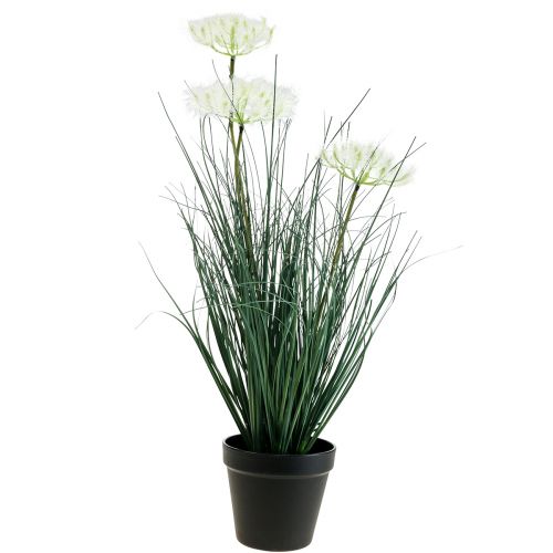 Floristik24 Bulrush Grass Artificial Flower Artificial flowers in a pot 56cm