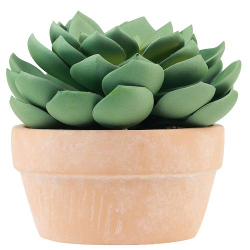 Succulent plant in pot Echeveria artificial green Ø15cm