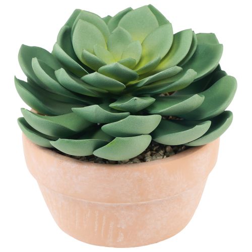 Product Succulent plant in pot Echeveria artificial green Ø15cm