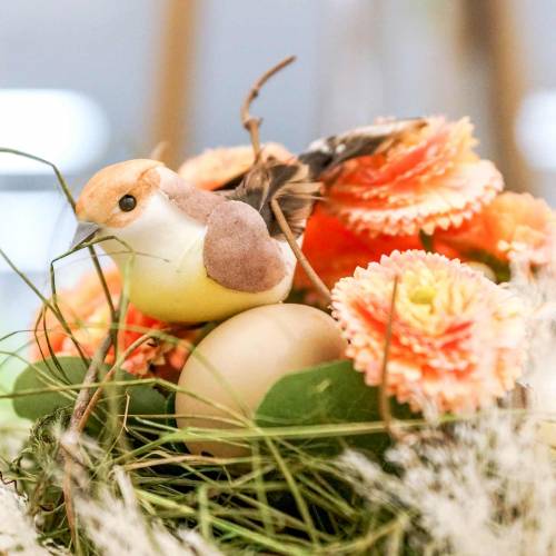 Floristik24 Daisy artificial peach colored 24cm 2pcs