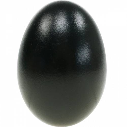 Product Goose Eggs Black Blown Eggs Easter Decoration Pack of 10