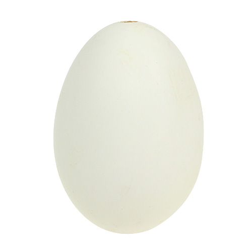 Floristik24 Goose eggs white 7cm 4pcs