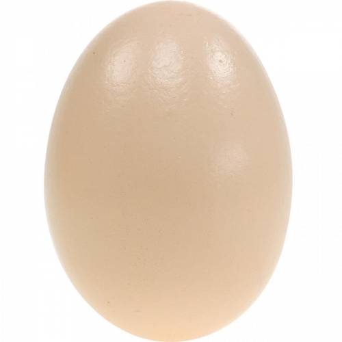 Floristik24 Goose Eggs Cream Blown Eggs Easter Decoration 12 pcs