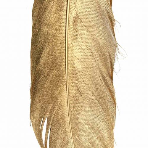 Floristik24 Golden feathers for handicrafts 16-18cm 12pcs