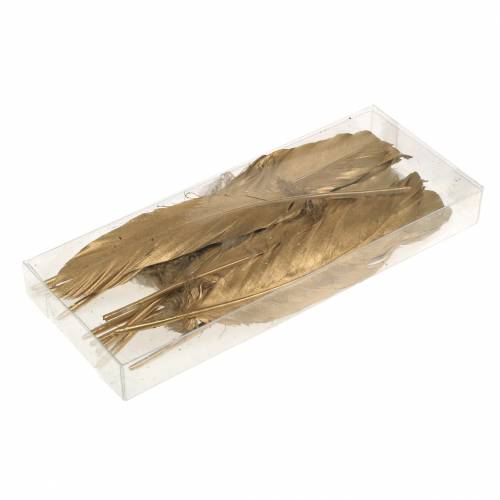 Floristik24 Golden feathers for handicrafts 16-18cm 12pcs