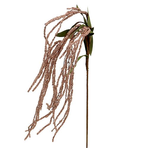 Floristik24 Garden foxtail 95cm