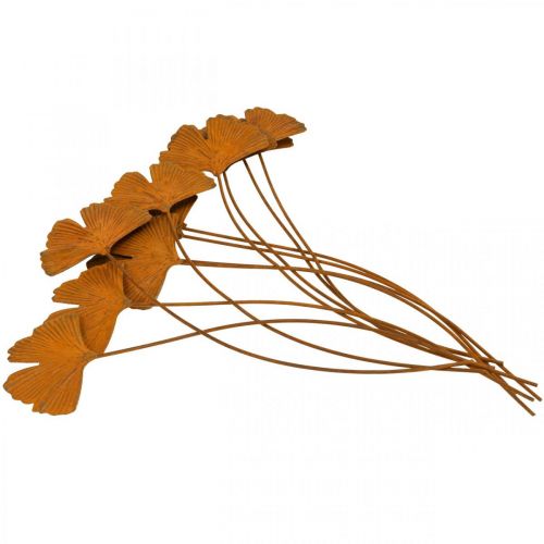 Floristik24 Garden stake rust gingko leaf bed stake 7x5cm 6pcs