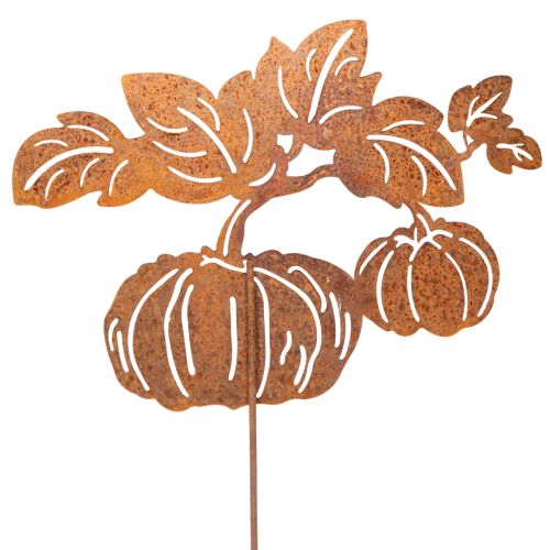 Garden stake with pumpkin motif, metal decoration, rust finish, 100cm | Floristik24.ie