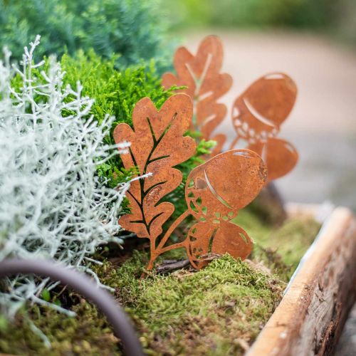 Floristik24 Garden stake acorns with leaf rust metal H19cm 6 pcs