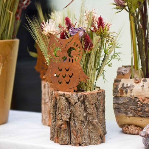 Floristik24 Garden stakes owl patina, autumn, metal decoration H32cm 6pcs