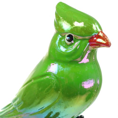 Product Garden plug parrot green 16cm