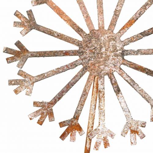 Floristik24 Garden plug Dandelion stainless steel metal Ø18 H88cm