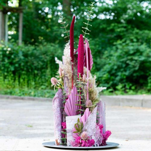 Product Dried corn cobs on stick Dried décor Red 10-18cm 20pcs