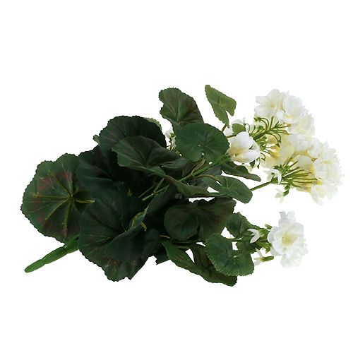 Product Geranium bush white 38cm