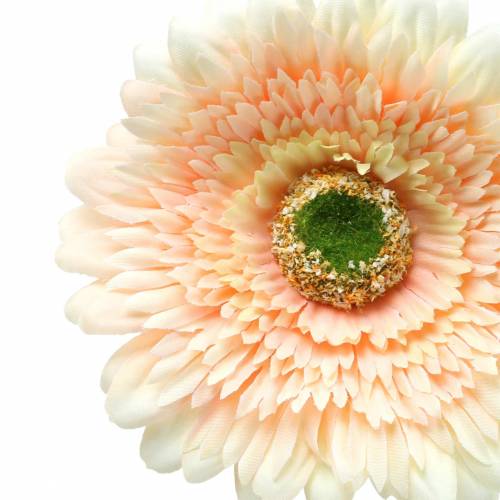 Floristik24 Artificial gerbera peach 62cm 6pcs