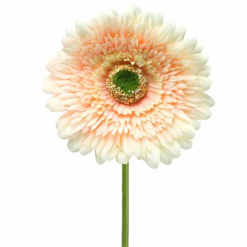 Floristik24 Artificial gerbera peach 62cm 6pcs