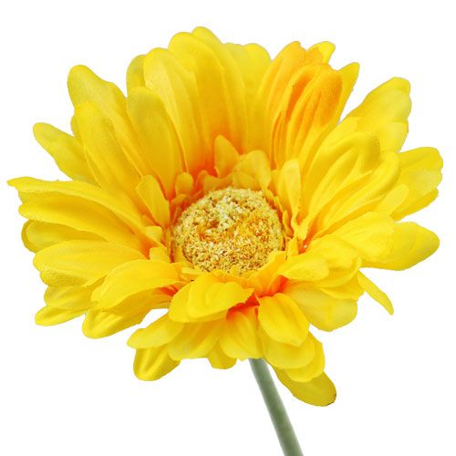 Floristik24 Gerbera artificial yellow Ø10cm L55cm 6pcs