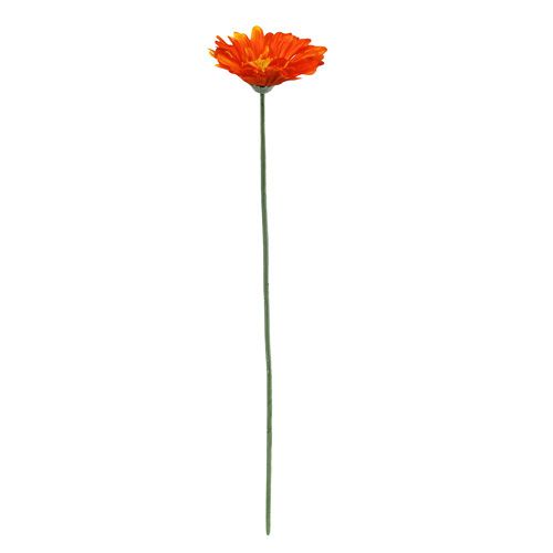 Floristik24 Gerbera Orange Ø10cm L55cm 6pcs