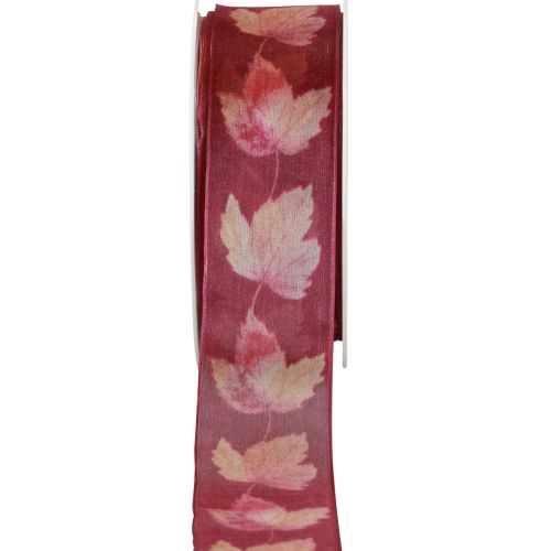 Product Gift ribbon maple leaves purple ribbon autumn 40mm 15m
