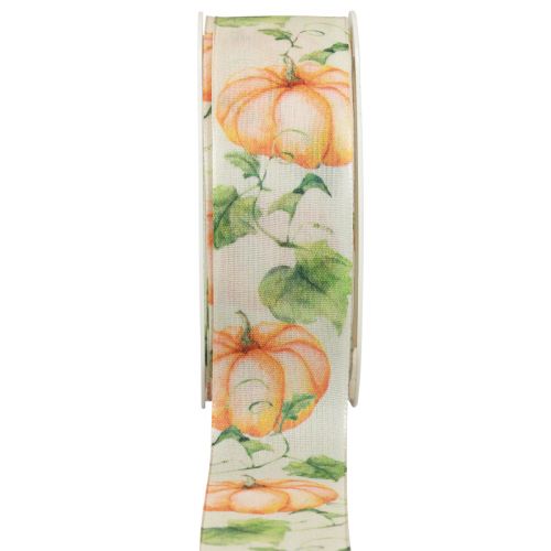 Product Gift ribbon pumpkin ribbon autumn orange 40mm 15m