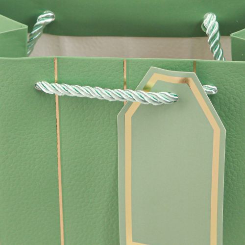 Product Gift Bag Light Green Golden Stripes 18×10×23cm 1 pc