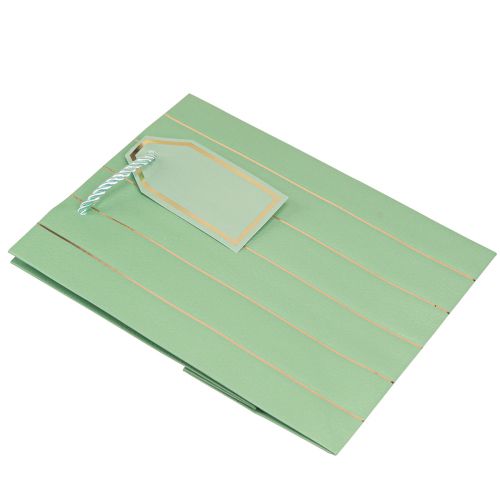 Product Gift Bag Light Green Golden Stripes 18×10×23cm 1 pc