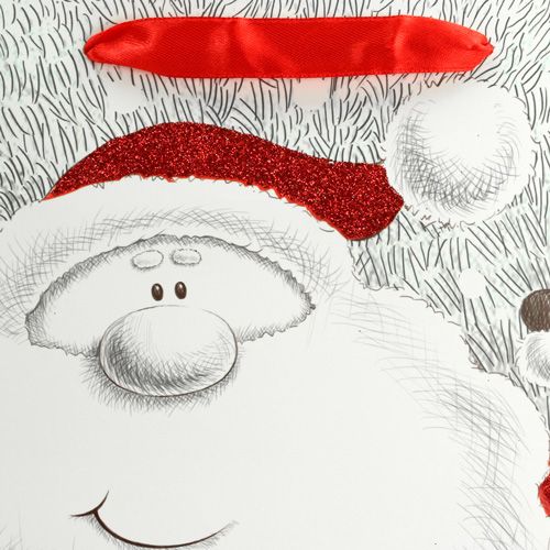 Floristik24 Gift bag with Santa 24cm x18cm x 8cm