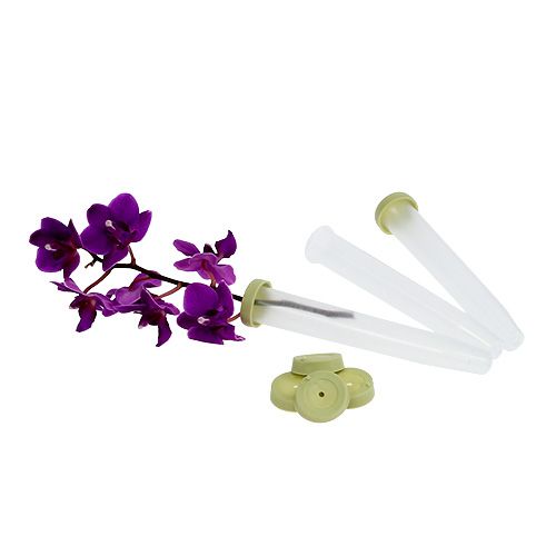 Floristik24 Arrangement tubes 10x1.6cm 100 pcs