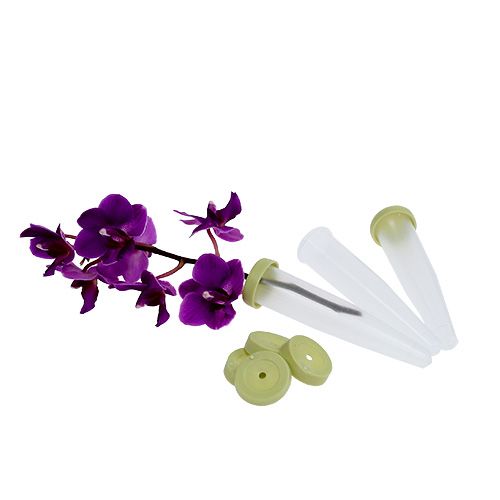 Floristik24 Arrangement tubes 7.5 x 1.5cm 100 pcs