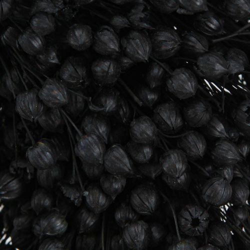 Floristik24 Dried Flax Wreath Dried Flowers Black Ø25cm