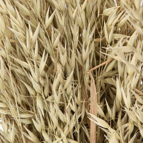 Product Dried oats decorative oat bunch natural decoration bunch 60cm 200g