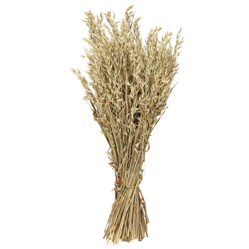 Product Dried oats decorative oat bunch natural decoration bunch 60cm 200g