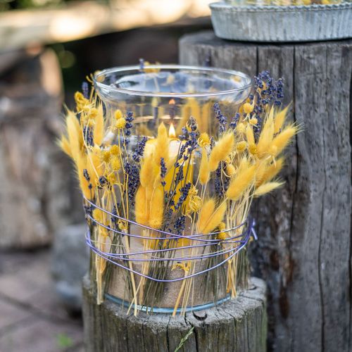 Floristik24 Dried Lavender Bunch, Dried Flower Lavender Blue 38–40cm 90g