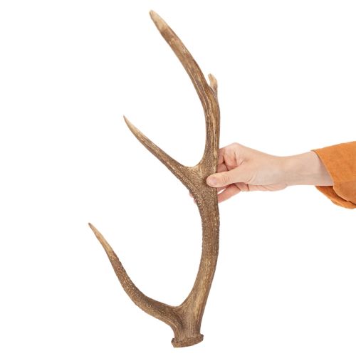 Decorative artificial antlers, rustic cabin decoration, 50cm | Floristik24.ie