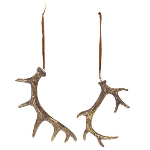 Rustic antler decoration