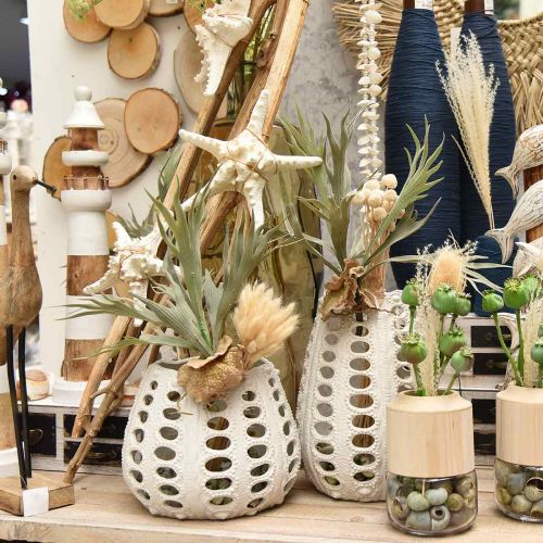 Floristik24 Antler Fern 40cm