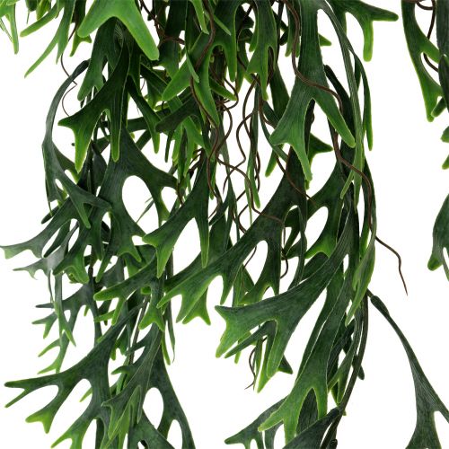 Floristik24 Antler fern bush hanging 84cm